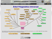 Tablet Screenshot of diversidadmicrobiana.com